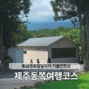 남원읍-10 | [공지] 제주 아이랑 당일치기 여행 코스 4곳 맛집 카페 가볼만한곳 추천 실제 다녀온 후기