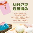 찹찹떡떡정관