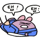본주짓수화성남양