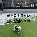 남이섬설리조트4 이미지