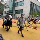 진흥유치원 이미지