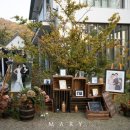 포레스트 컴퍼니 이미지