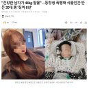 식물인간 만들어 놓고 징역 6년 이미지