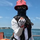 병기호 좌대낚시터 이미지