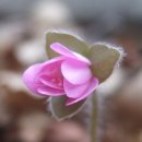 산오름 이미지