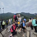 서울 서대문, 노원중랑, 송파, 강남서초, 안산, 남양주, 김포, 인천, 천안, 현풍, 경산, 포항, 구미 지사)
