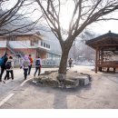 농촌전통테마마을회관 이미지