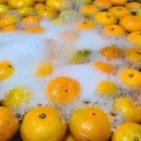 상원 용인대 태권도 이미지