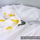 문화점핑