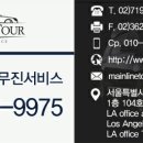 더메인 이미지