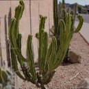 인보마을 | 믿을 수 있는 처인구 요양원 추천 인보마을 안정감 있는 돌봄 제공