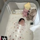 장전로6번길(3-359) | 청주산후도우미 해피케어 이용후기 아기 및 산모케어 총평 품질평가A등급