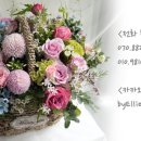 꽃집바이엘리