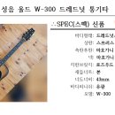 성음 이미지