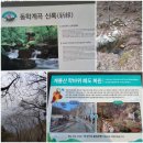 그린장앞골3교 | [2026.02.22]동학사: 불교문화원에서 천진동자도 만나고 포대화상도 만나고....ㅎㅎㅎ