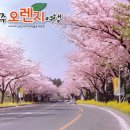 (주)오렌지여행 이미지