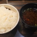 4378 | [일본] 구마모토 미슐랭 돈까스 맛집 카츠레츠테이 방문 후기 (서이추 환영)