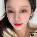 아틱폭스
