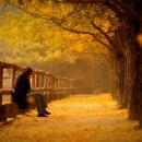 아름다운 동행 이미지