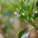 김재성농장 이미지