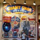 100년의피자 카페인시애틀 | 트립▪︎40》 미국 시애틀 여행 / 파이크 플레이스 마켓 / 시애틀 스타벅스 1호점 / H Mart 시애틀 다운타운