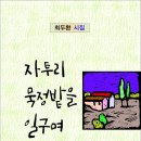 자투리 묵정밭을 일구며 / 최두환 시집 (전자책) 이미지