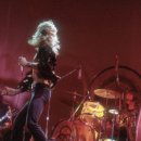 제플린실용음악학원 이미지