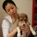 이플동물병원 이미지