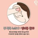 귀를 통한 건강관리 이미지