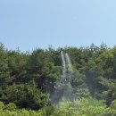나무드론 이코노믹포스트