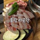 못골 | 대연동 고기집 추천｜아기의자 있고 맘편한 호랑이곳간 못골시장 맛집 후기