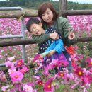 유구목장 이미지