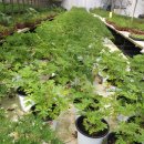 경희농원 이미지