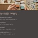 장 건강을 지키는 유산균 종류와 효과