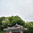 최루백효자각 이미지