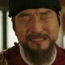 뿌리깊은나무 이미지