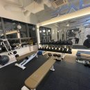 스케일짐 이미지