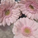 수원시립미술관 이미지