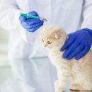 이즈동물병원 이미지