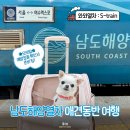 진's애기김밥 | 남도해양열차 S-train 기차여행 애견동반 좌석추천 노선 탑승후기