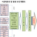 암이 발생하는 원인과 검증 이미지