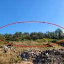 제주시 애월읍 소길리 한길정보통신학교 북서측 인근 임야 2,521평 이미지