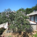 중화동-042 이미지