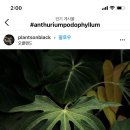 포도룸 이미지