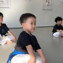 용인대 태권마루 태권도장 네이버블로그