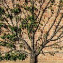 맛있는 집밥요리 이미지