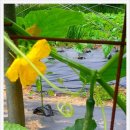 쩡이네보물창고 이미지