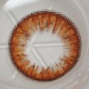 렌즈팝 | 렌즈팝 * 버니칼라브라운 ( 그래픽 화려한 렌즈 추천 )