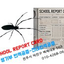 전대번역행정