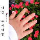 대전키즈네일 &lt;유이네일&gt;에서 딸래미와 데이트!